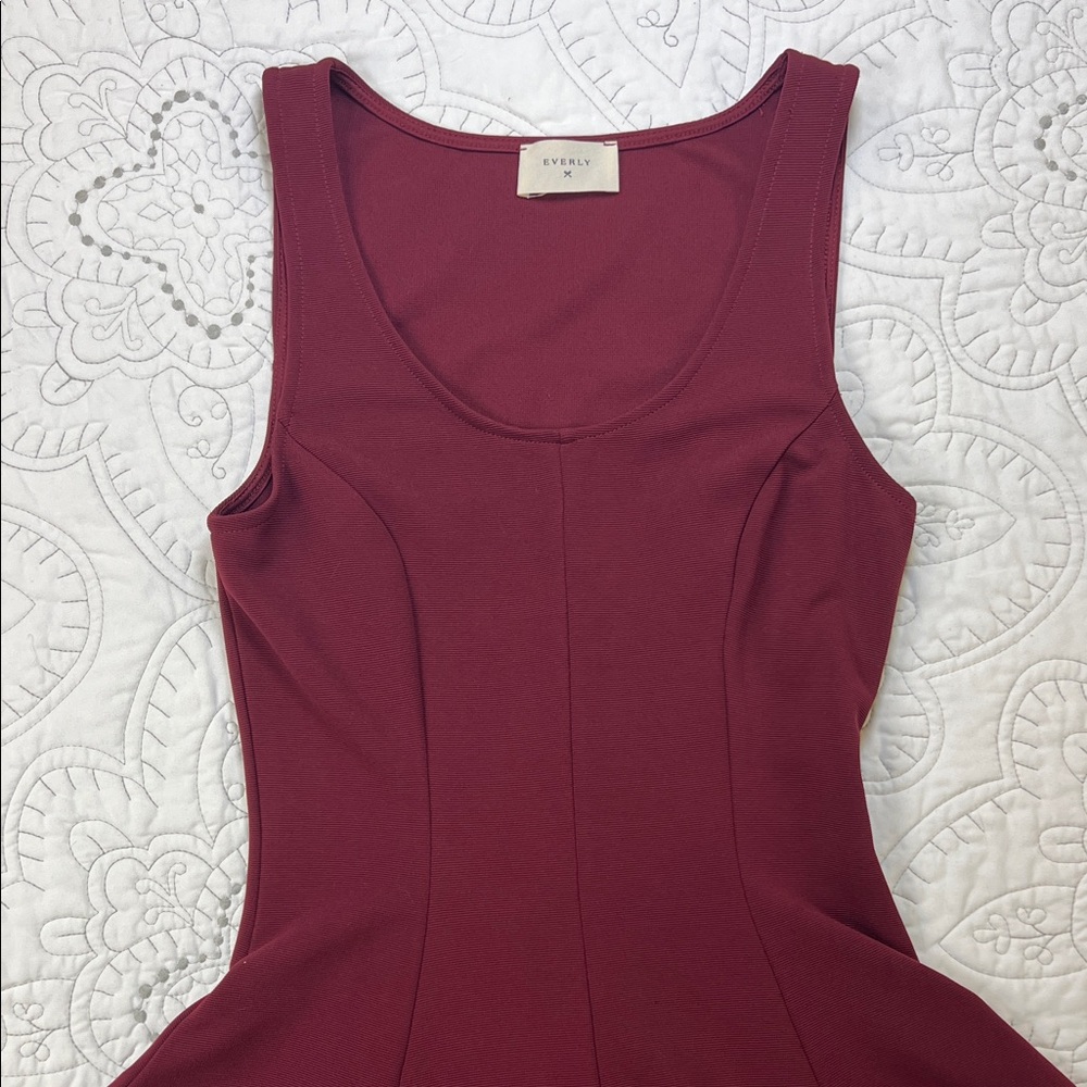 Everly Burgundy Sleeveless Fit and Flare Mini Dress - Small